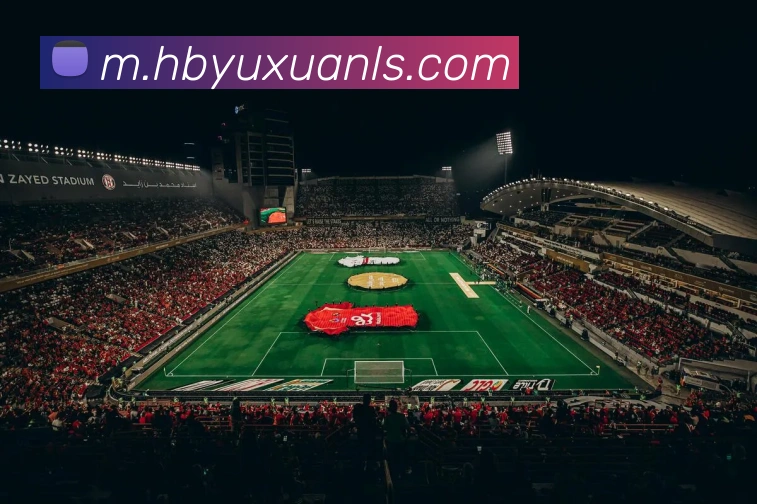彩神vAPP 封面图
