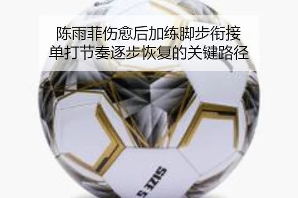 陈雨菲伤愈后加练脚步衔接 单打节奏逐步恢复的关键路径